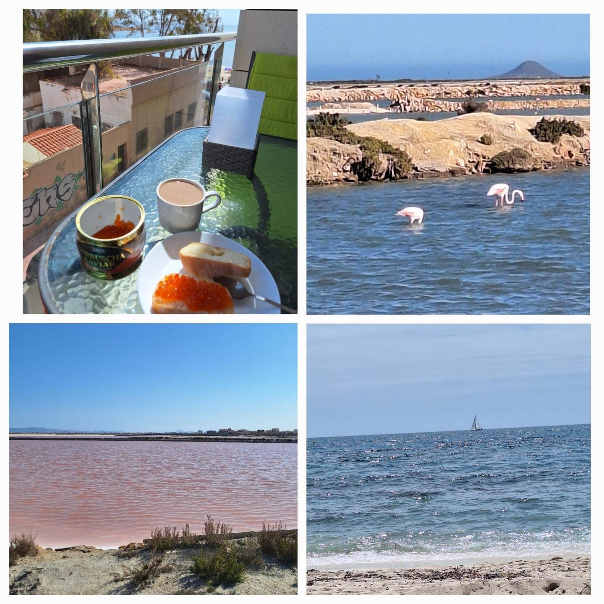 Nice Apartment With Terrace On The Los Locos Beach Torrevieja Eksteriør billede